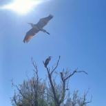 Découverte des réserves naturelles
